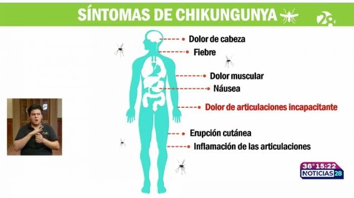 chikungunya